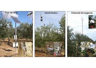 Foto El proyecto CIT trabaja en la elaboración de una guía de buenas prácticas para la implantación del control inteligente de termografía