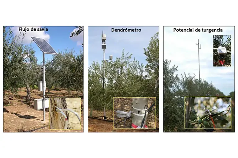 El proyecto CIT trabaja en la elaboración de una guía de buenas prácticas para la implantación del control inteligente de termografía Foto El proyecto CIT trabaja en la elaboración de una guía de buenas prácticas para la implantación del control inteligente de termografía