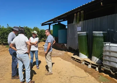 Foto Proyecto MECA: Microalgas y Economía Circular para la mejora de la productividad Agrícola