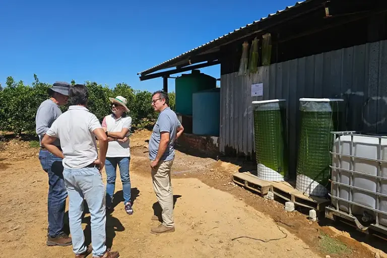 Proyecto MECA, ejemplo de Economía Circular para la mejora de la productividad agrícola Foto Proyecto MECA: Microalgas y Economía Circular para la mejora de la productividad Agrícola