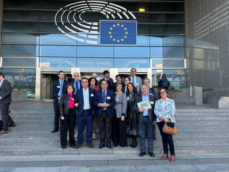 Alianza estratégica de media docena de países para afrontar desafíos comunes y fortalecer su posición en Europa