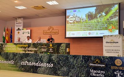 Foto Ya tienes disponibles las ponencias de la 30 Jornada de Olivar de ASAJA-Sevilla
