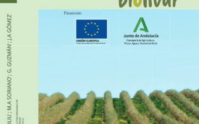 Foto Portada Biolivar publica una guía de apoyo a la toma de decisiones para implantación de cubiertas vegetales en este cultivo