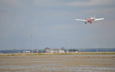 Cómo debemos preparar el terreno para la siembra del arroz Foto avión arrozales ¿ Cómo debemos preparar el terreno para la siembra del arroz?