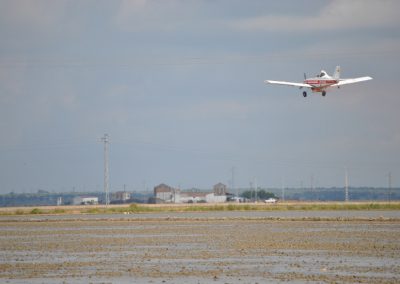 Foto avión arrozales ¿ Cómo debemos preparar el terreno para la siembra del arroz?