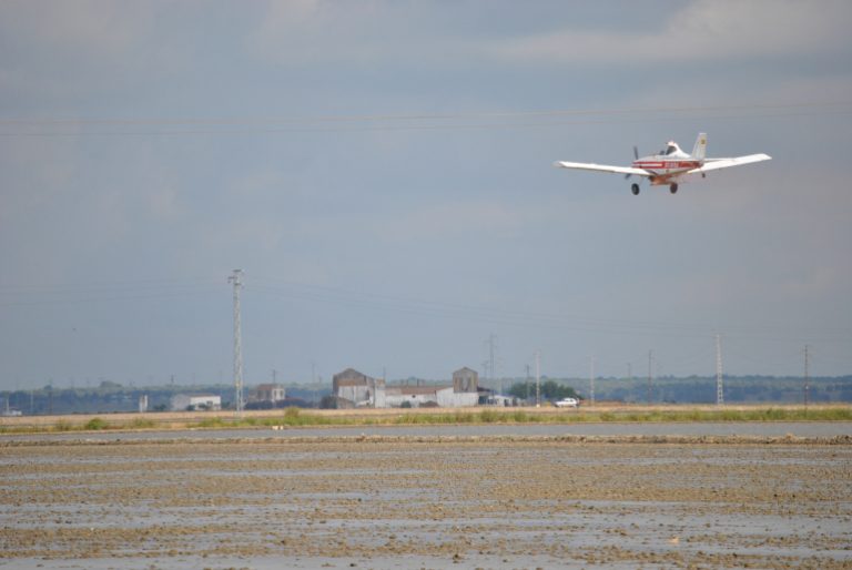 Cómo debemos preparar el terreno para la siembra del arroz Foto avión arrozales ¿ Cómo debemos preparar el terreno para la siembra del arroz?