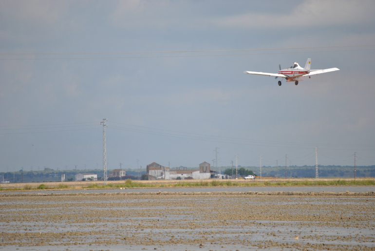 Foto avión arrozales ¿ Cómo debemos preparar el terreno para la siembra del arroz?