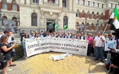 Foto El campo exige al Gobierno salvar al cereal español: costes disparados, precios hundidos y competencia desleal