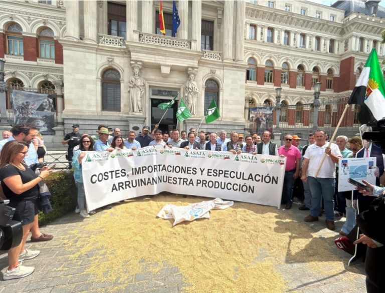 El campo exige al Gobierno salvar al cereal español costes disparados precios hundidos y competencia desleal Foto El campo exige al Gobierno salvar al cereal español: costes disparados, precios hundidos y competencia desleal