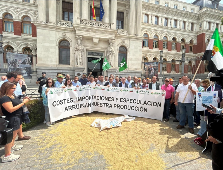 Foto El campo exige al Gobierno salvar al cereal español: costes disparados, precios hundidos y competencia desleal