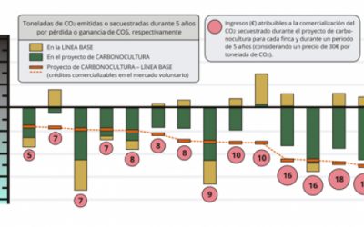 Grafico El proyecto C-Olivar estima ingresos de más de 20 millones de euros para los agricultores