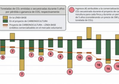 El proyecto C-Olivar estima ingresos de más de 20 millones de euros para los agricultores Grafico El proyecto C-Olivar estima ingresos de más de 20 millones de euros para los agricultores