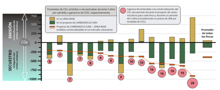 El proyecto C-Olivar estima ingresos de más de 20 millones de euros para los agricultores Grafico El proyecto C-Olivar estima ingresos de más de 20 millones de euros para los agricultores