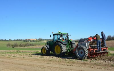 Foto El proyecto Sembrando Biodiversidad concluye su período de ejecución