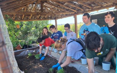 La Fundación Psicopediatría de Sevilla participa en los talleres del Programa de Empleo y Formación ASAJA Foto talleres,empleo,formación,ASAJA Satio,Fundación de Psicopediatría