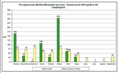 Grafico La precipitación media acumulada durante mayo en los embalses de la demarcación hidrográfica del Guadalquivir ha sido de 30 l/m², un 25% inferior a al promedio histórico del mismo mes (40 l/m²) en los últimos 25 años, según recoge el Informe Pluviométrico que elabora mensualmente la Confederación Hidrográfica del Guadalquivir (CHG), organismo dependiente del Ministerio para la Transición Ecológica y el Reto Demográfico. La máxima precipitación se ha localizado en el embalse de Martín Gonzalo (53,5 l/m²), en la provincia de Córdoba, mientras que la mínima se ha registrado en el embalse de Torre del Águila (8,3 l/m²), en la provincia de Sevilla. Este pasado mes de mayo ha sido seco, con una distribución espacial de las lluvias muy irregular. Las precipitaciones más significativas se corresponden con lluvias puntuales muy localizadas, concretamente en la cabecera del Guadalquivir en la provincia de Jaén; cabecera del río Guardal, cuenca del río Guadahortuna y río Genil a su paso por Loja en la provincia de Granada; arroyo de Martín Gonzalo y río Genil en el término municipal de Benamejí, en la provincia de Córdoba, y en las cabeceras de las cuencas del río Jándula y Ojailén, en la provincia de Ciudad Real. Respecto a la precipitación media anual, el valor acumulado desde el inicio del año hidrológico (1 de octubre) hasta el 31 de mayo es de 684 l/m², un 31% superior al valor medio del mismo período de los 25 años anteriores (521 l/m²). En cuanto a la distribución provincial de las precipitaciones acumuladas desde el inicio del año hidrológico, exceptuando la provincia de Granada, los registros pluviométricos en el resto de las provincias de la demarcación se sitúan por encima de su pluviometría media de los 25 años anteriores. El valor máximo corresponde a la provincia de Sevilla (con 952 l/m², 62 % por encima de su media histórica) y el mínimo a la provincia de Granada (368 l/m², 10 % por debajo de su media). Los embalses donde se han registrado los mayores valores de precipitación acumulada (por encima de 1.100 /m²) han sido Huesna y José Torán (con 1222,9 y 1189,2 l/m² respectivamente), en la provincia de Sevilla, y en el embalse de Retortillo (con 1112,6 l/m²). en el límite entre las provincias de Córdoba y Sevilla. En el lado opuesto, los valores más bajos de pluviometría acumulada (inferiores a 350 l/m²) se han registrado en la cabecera del río Genil (embalse de Cubillas con 337,7 l/m²) y en la cuenca del Guadiana Menor (embalses de San Clemente, Portillo, Francisco Abellán y Negratín con 318,1; 304,2; 260,2 y 241 l/m² respectivamente), todos ellos en la provincia de Granada.