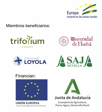 Logos miembros certicaza