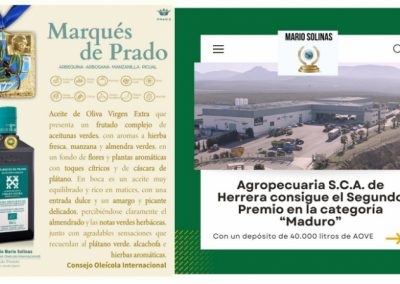 Premios a la Calidad Mario Solinas 2025, una celebración de la excelencia en el 25º aniversario Foto premios Marqués de Prado a la calidad Mario Solinas 2025