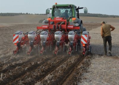 fOTO Proyecto GiraSoil: Mejora de la sostenibilidad del girasol mediante la agricultura de conservación