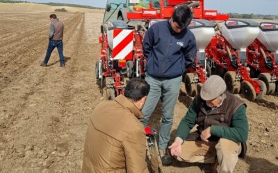 fOTO Proyecto GiraSoil: Puesta en marcha de los ensayos de siembra directa de girasol