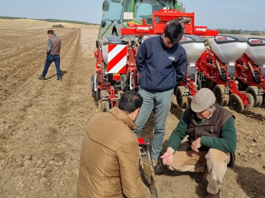 Proyecto GiraSoil: Puesta en marcha de los ensayos de siembra directa de girasol