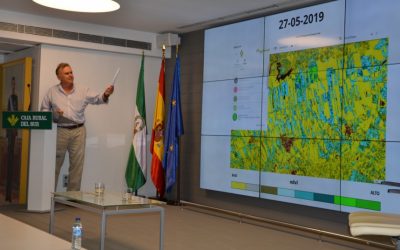 Siembra directa y girasol, una relación en la que merece la pena profundizar