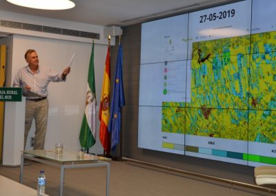 Siembra directa y girasol, una relación en la que merece la pena profundizar