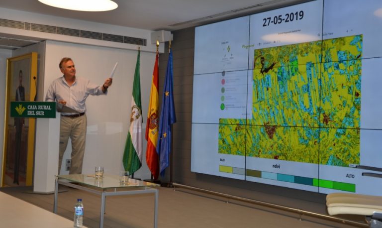 Siembra directa y girasol, una relación en la que merece la pena profundizar