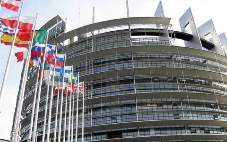 Foto La Comisión de Agricultura del Parlamento Europeo respalda una PAC fuerte