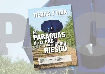 Te has perdido algo de la actualidad del campo de Sevilla Te contamos lo más relevante Foto noticia revista 474