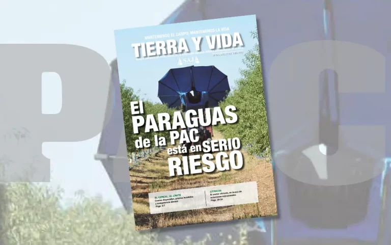 Foto noticia revista 474