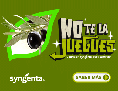 Banner_Olivar_Otono_2025_389x300 Banner syngenta