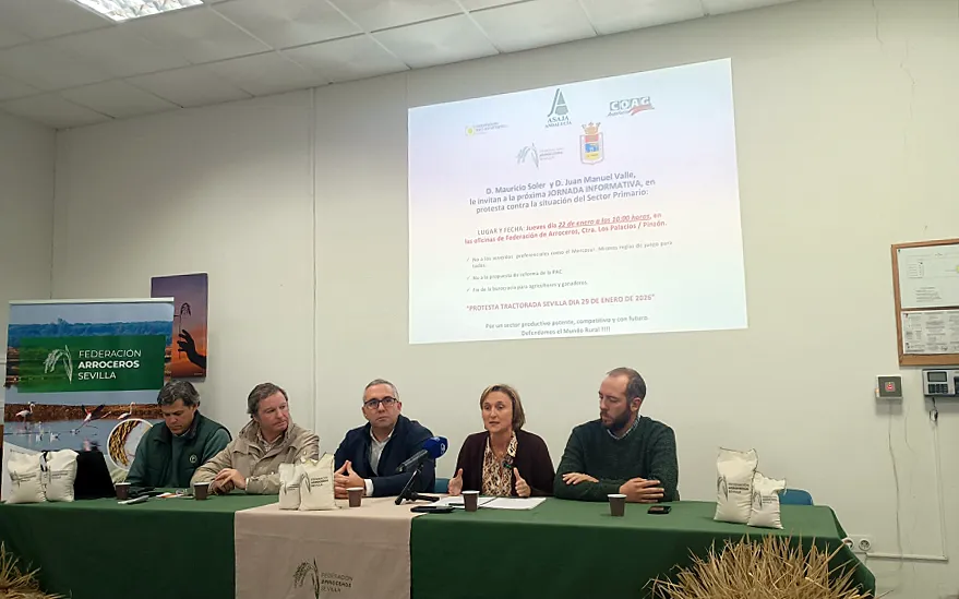 Foto El sector arrocero estará el 29-E en Sevilla en defensa del campo