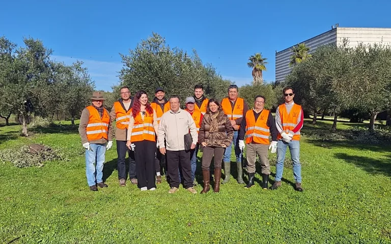 Fotot Finaliza nuestro curso de poda del olivar en Huévar del Aljarafe