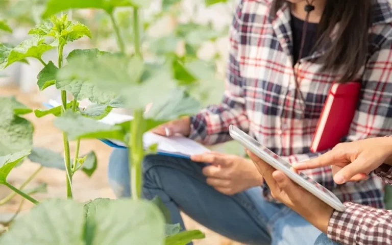 Foto La Comisión Europea reconoce las reivindicaciones del sector agrario y aprueba la ampliación del plazo para el cuaderno digital