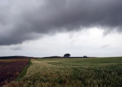 La Consejería de Agricultura subvencionará en el momento de la contratación a todos los agricultores y ganaderos que contraten el seguro agrario Foto La Consejería de Agricultura subvencionará en el momento de la contratación a todos los agricultores y ganaderos que contraten el seguro agrario