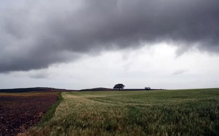 Foto La Consejería de Agricultura subvencionará en el momento de la contratación a todos los agricultores y ganaderos que contraten el seguro agrario