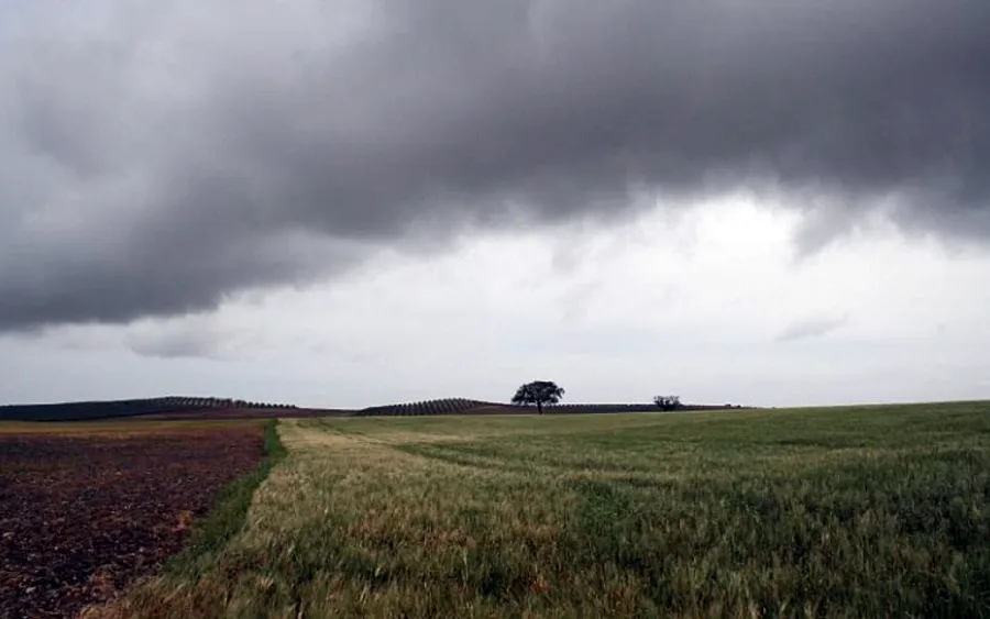 La Consejería de Agricultura subvencionará en el momento de la contratación a todos los agricultores y ganaderos que contraten el seguro agrario Foto La Consejería de Agricultura subvencionará en el momento de la contratación a todos los agricultores y ganaderos que contraten el seguro agrario