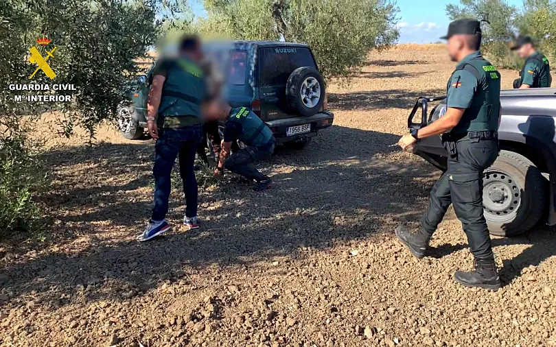 Foto La Guardia Civil detiene a dos personas e investiga a otras dos por robos de casi 3 toneladas de aceitunas