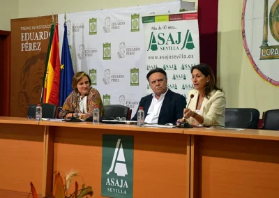 Foto La falta de lluvia retrasa la campaña de recolección y rebaja las previsiones finales de producción de aceituna de mesa a 495.000 toneladas