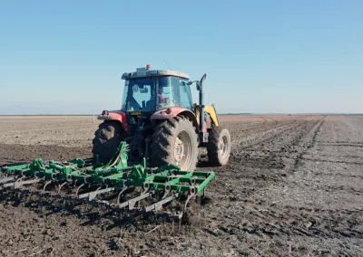 La falta de lluvias en octubre podría dificultar la siembra de cereales en Andalucía Foto cereales, lluvias, siembra, RAIF, sequía, humedad,