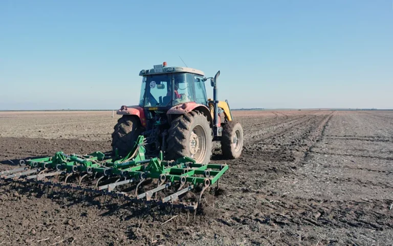 La falta de lluvias en octubre podría dificultar la siembra de cereales en Andalucía Foto cereales, lluvias, siembra, RAIF, sequía, humedad,