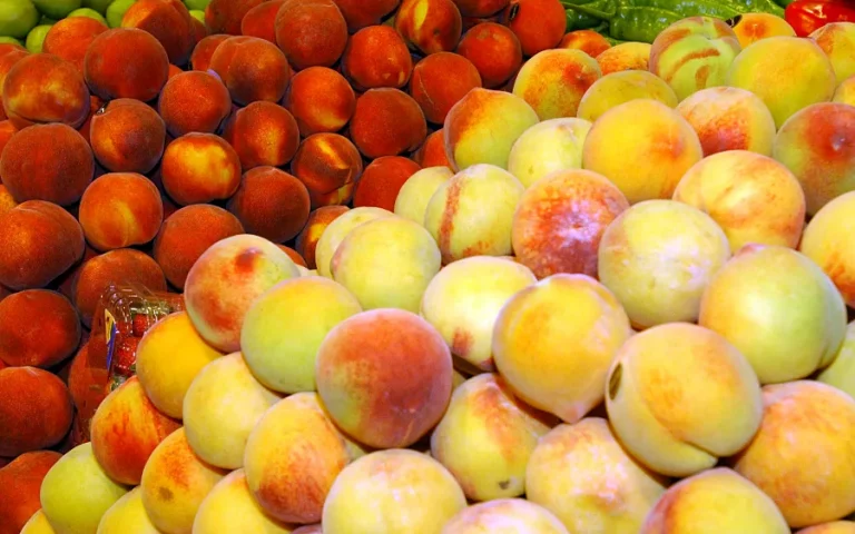 Foto Las multas de la AICA por incumplir la Ley de la Cadena Alimentaria suben un 50 en 2025