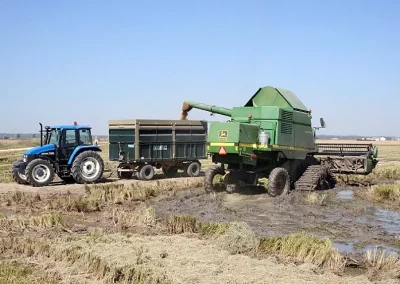 Ya se ha cosechado el 20 del arroz en la pronvincia de Sevilla Foto Ya se ha cosechado el 20% del arroz en la pronvincia de Sevilla