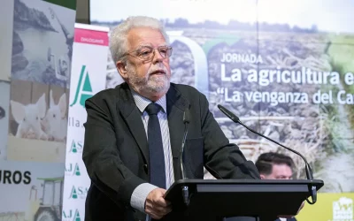 Foto Las batallas que no se ganan son las que no se dan