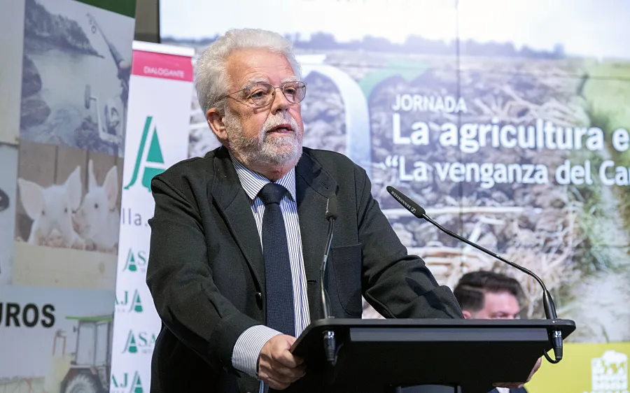 Foto Las batallas que no se ganan son las que no se dan