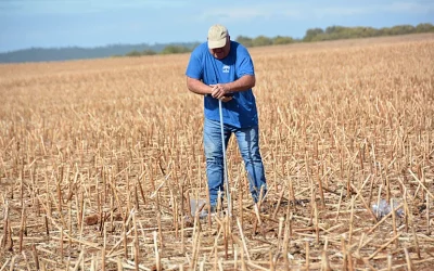 Foto agricultura de conservación
