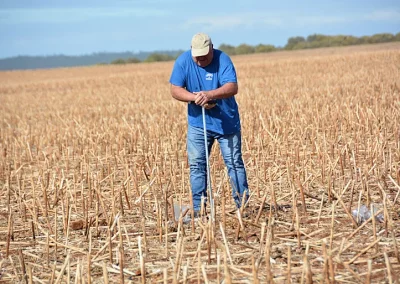 Foto agricultura de conservación