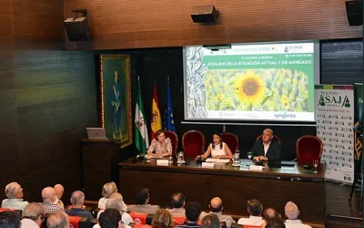 Andalucía incrementa un 30% la superficie de girasol y consolida el cultivo como alternativa preferente para los agricultores
