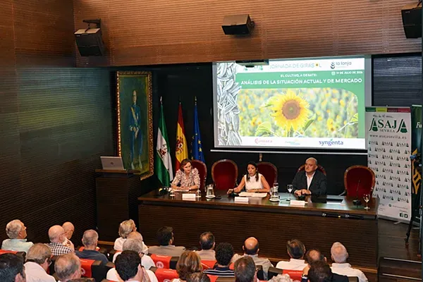 123 Andalucía incrementa un 30% la superficie de girasol y consolida el Foto Andalucía incrementa un 30% la superficie de girasol y consolida